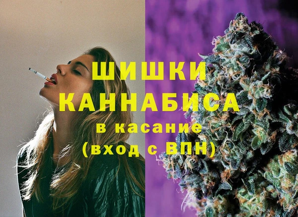 таблы Гусев