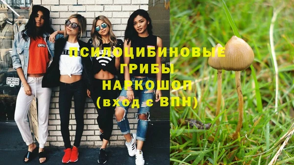 наркотики Горно-Алтайск